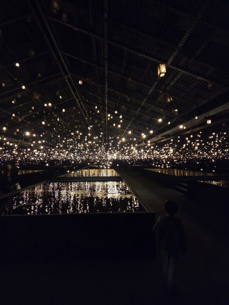 용산 어린이정원 몰입