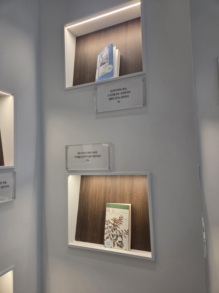 책이 전시되어 있는 모습